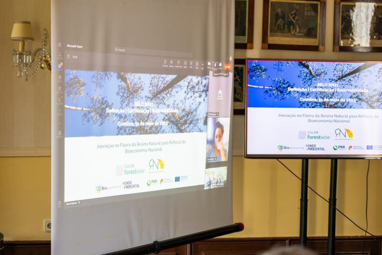 2.º Fórum de Comunicação do RN21