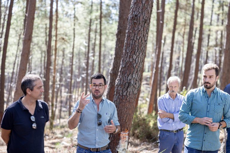 Visita de campo «O Potencial da Resinagem para o Pinhal»
