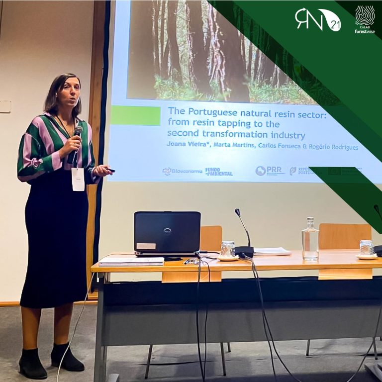 Conferência Internacional IUFRO
