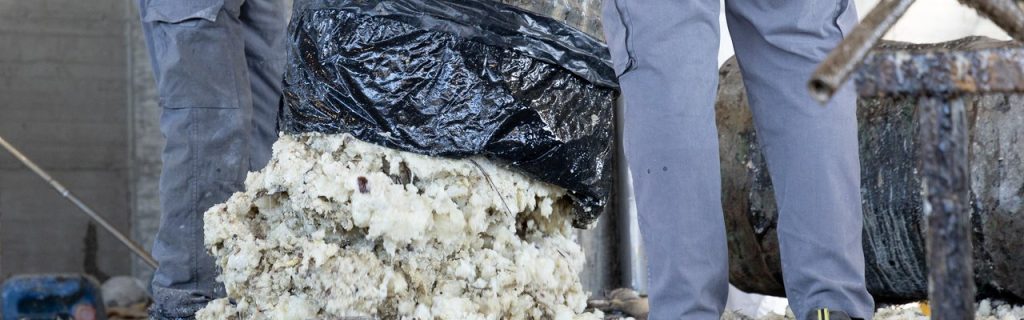 RN21, o consórcio que quer valorizar a fileira da resina natural em Portugal