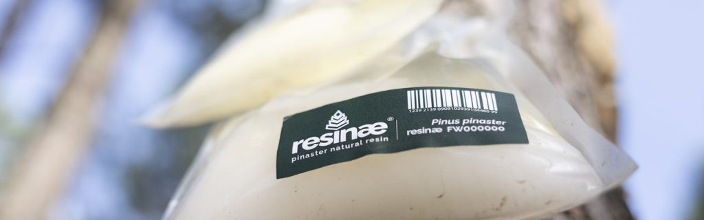 Resinae® – Marca de diferenciação e valorização da Resina Natural de Pinheiro-bravo