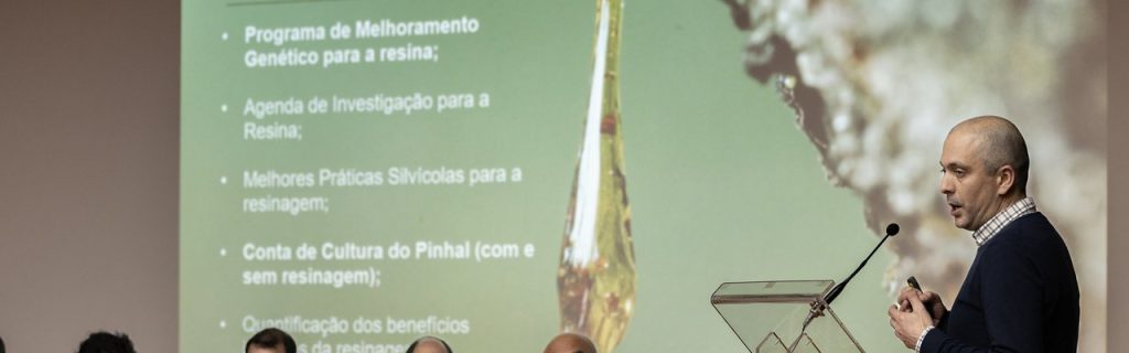 RN21 estuda métodos de extração de resina mais baratos e eficientes