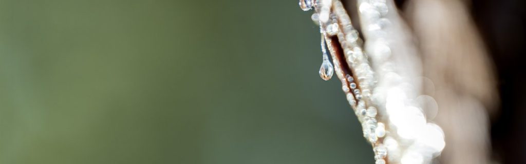 Um mundo melhor com Resina Natural